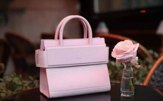 網(wǎng)紅效應(yīng) 奢侈品營(yíng)銷的雙刃劍